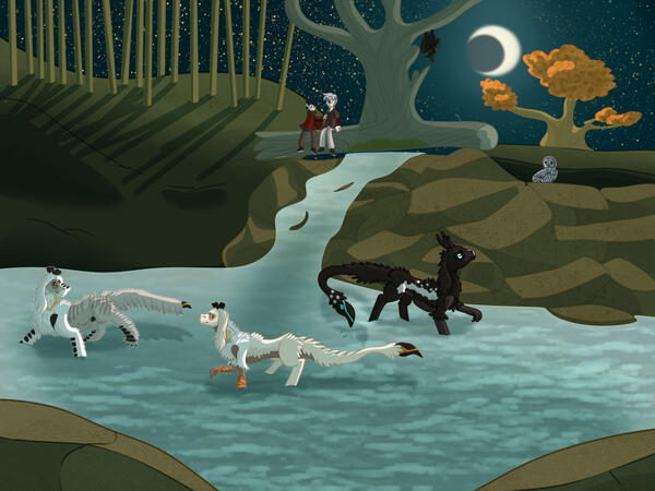 Illustration sample