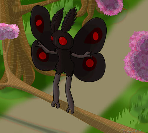 commissioned illustration